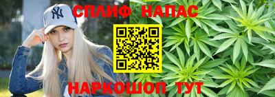 стаф Ливны